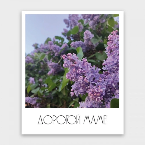 Фотокарточка "Дорогой маме"