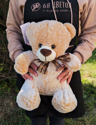 Медведь 40 Бежевый