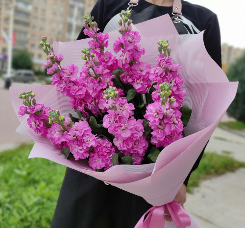 Букет 9 розовых маттиол