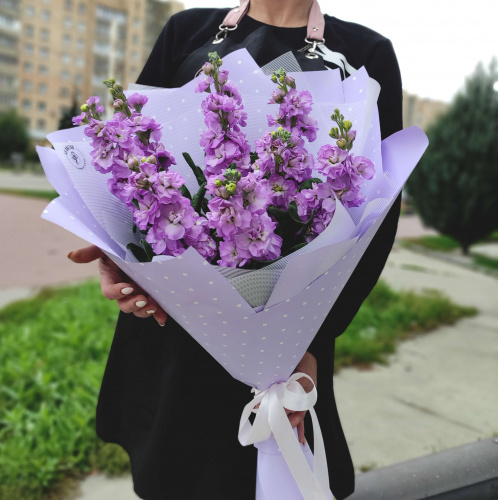 Букет 9 фиолетовых маттиол