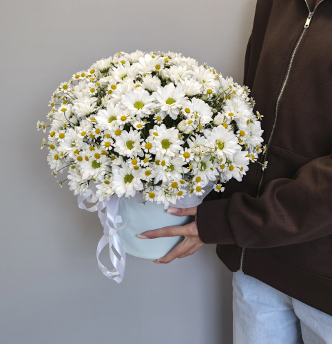 Шляпная коробка с белыми ромашками матрикария и кустовая хризантема
