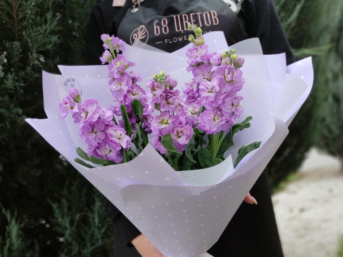 Букет 5 фиолетовых маттиол